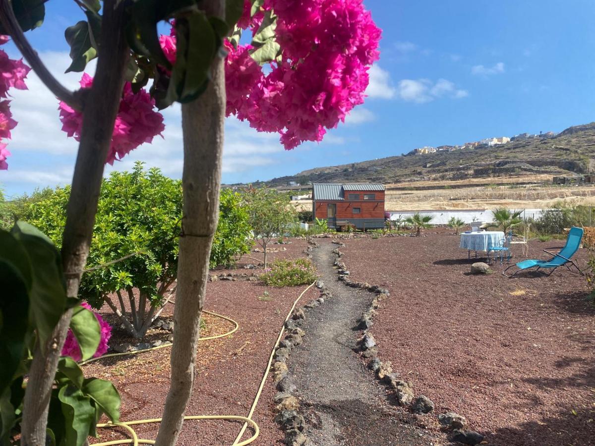 Mini Casa Finca Arcoiris Tenerife Guía de Isora Extérieur photo