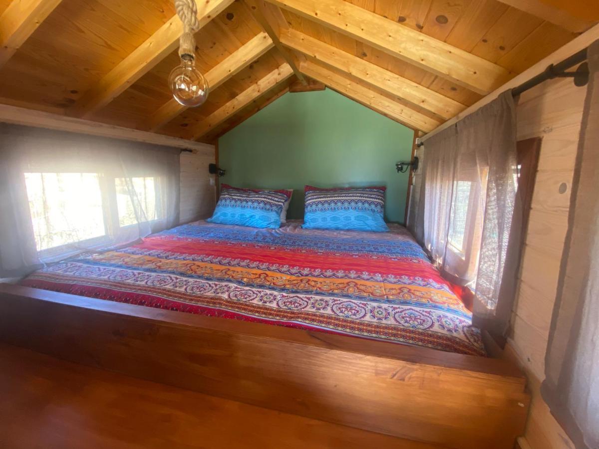 Mini Casa Finca Arcoiris Tenerife Guía de Isora Extérieur photo